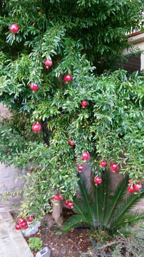 La Maison Jujube Morrovalle Ngoại thất bức ảnh